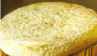Brie de Meaux