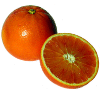 Cibi - Alimenti