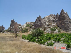 Vini DOC IGT Basilicata