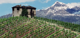 Vini DOC IGT Valle d'Aosta