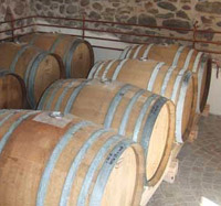 Aceto vino