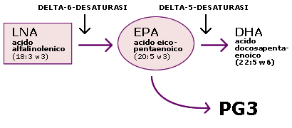 Eicosanoidi - PG3