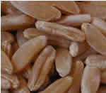 Fibre alimentari