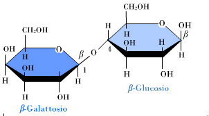 Lattosio