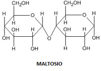Maltosio