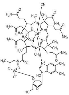 Vitamina B12 (cianocobalamina)