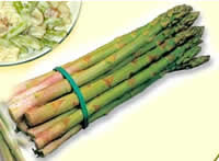 Asparagi