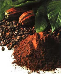 Cacao