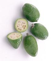 Feijoa