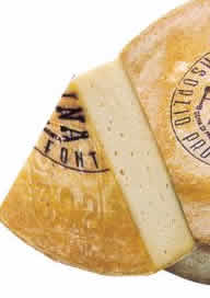 Fontina