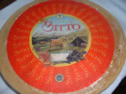 Bitto