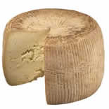 canestrato pugliese