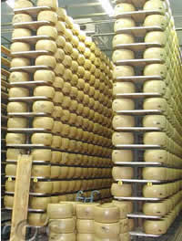 Parmigiano Reggiano