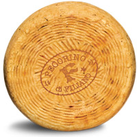 Pecorino Filiano