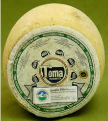 Toma piemontese