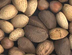 Frutta secca