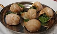 Escargot Lumache di terra