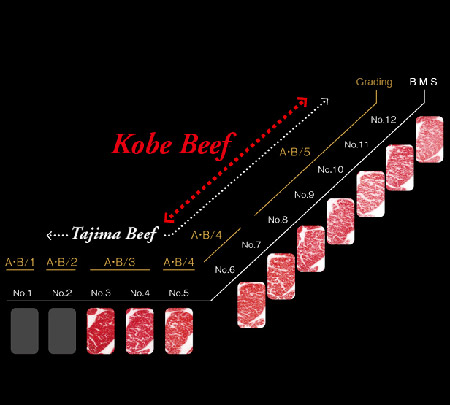 Carne di Kobe