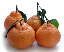 Myacawa Satsuma