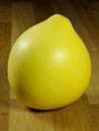 Pomelo