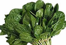 Spinaci