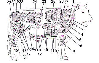 Tagli carne bovina