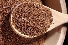 Teff cereale