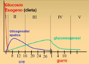 Digiuno - Glucosio