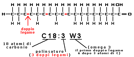 Acidi grassi insaturi
