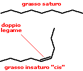 Acidi grassi