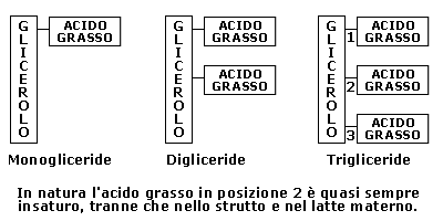 Trigliceridi