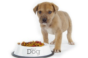 Mangime Puppy