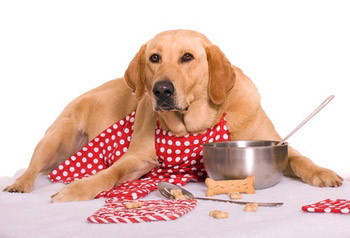 come formulare una dieta per cani.