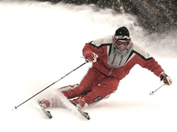 Harb Ski System