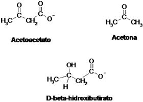 Acetonemia