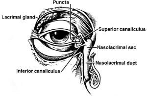 Secchezza oculare