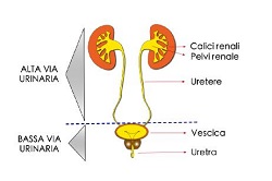 vlac