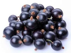 Bacche di acai integratori