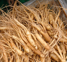 Ginseng integratori