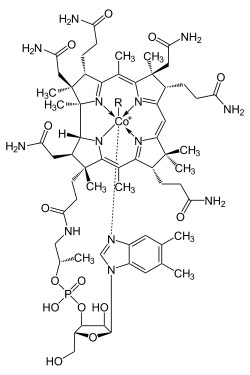 Integratori vitamina B12