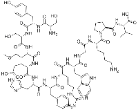 ACTH