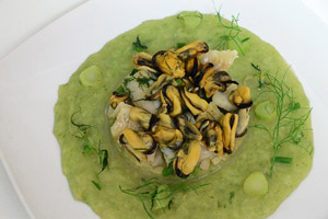 Cozze e merluzzo su crema di finocchi e patate