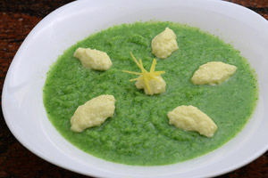 Crema di broccoli con gocce di aglio, olio e limone