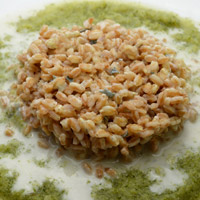 Farro in salsa di zola su vellutata di broccoli