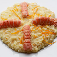 Risotto all'arancia e scampi