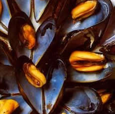 Impepata di cozze