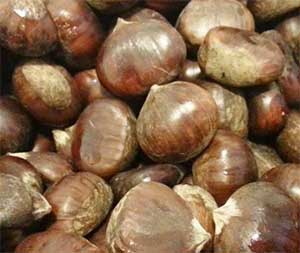 Marmellata di marroni