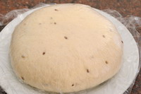 Passo 11