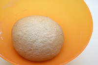 Passo 5