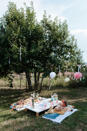 Picnic